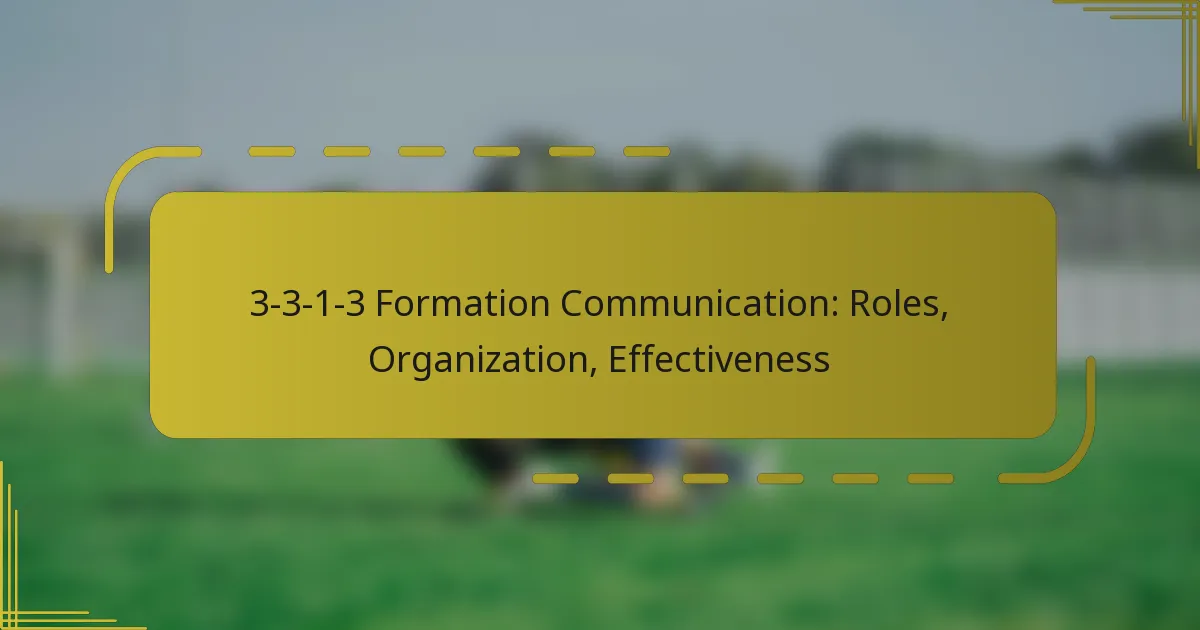 3-3-1-3 Formation Communication: Roles, Organization, Effectiveness