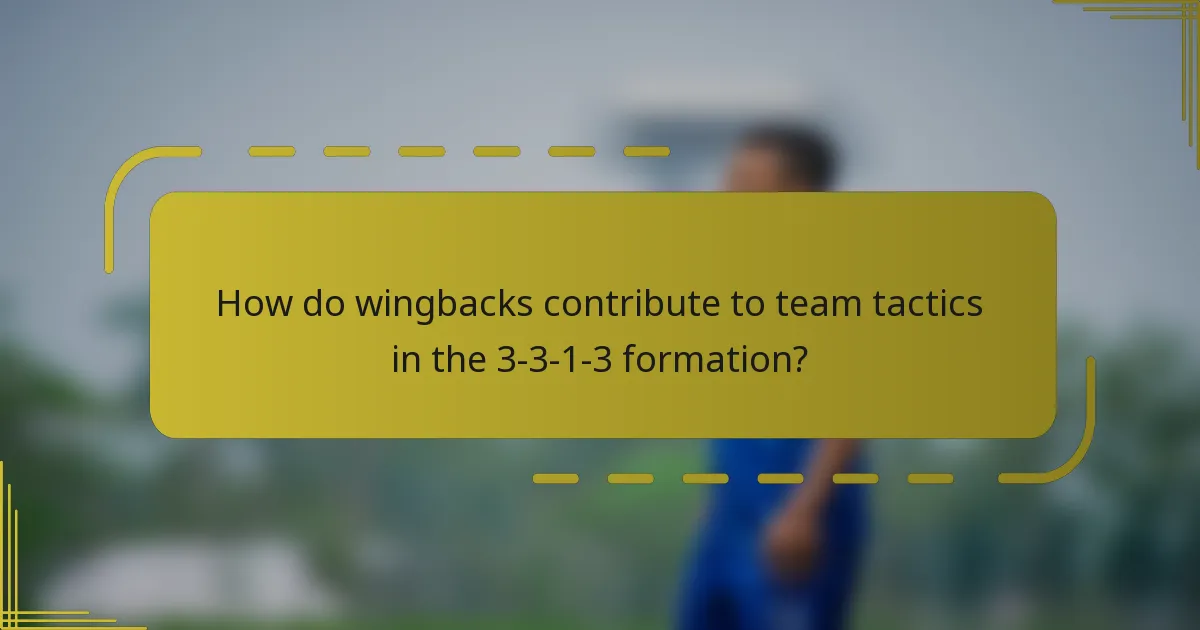 How do wingbacks contribute to team tactics in the 3-3-1-3 formation?
