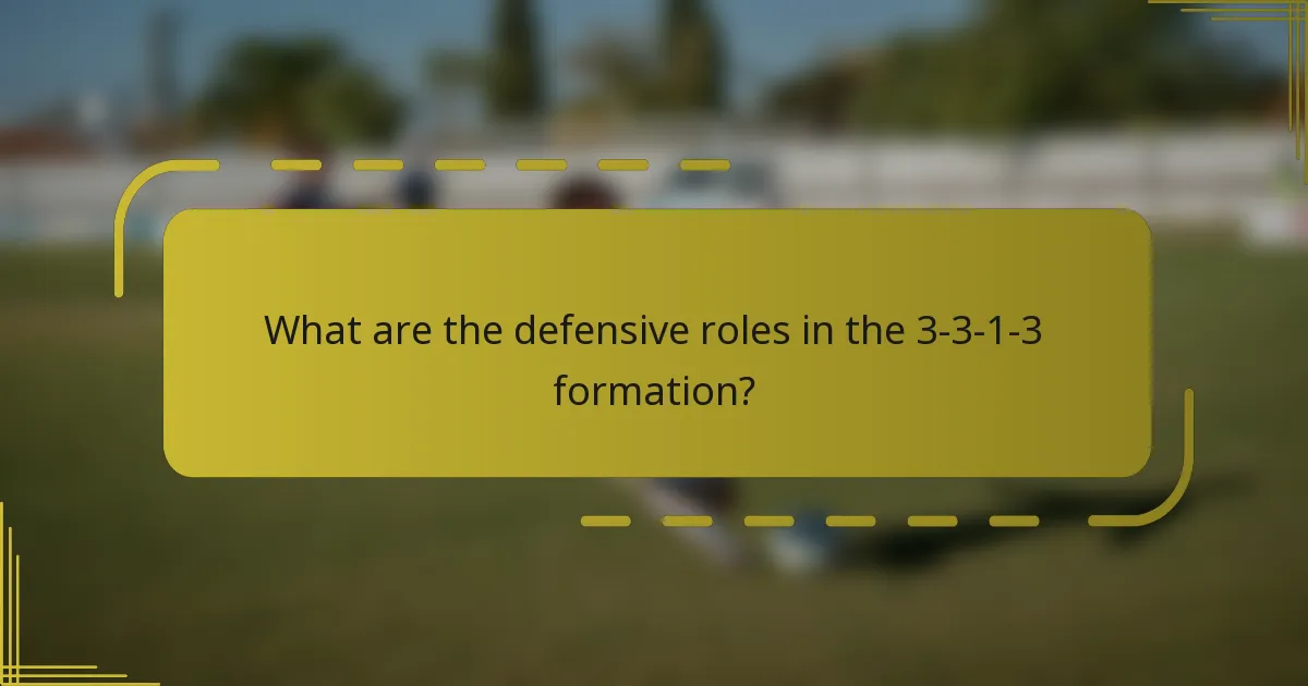 What are the defensive roles in the 3-3-1-3 formation?