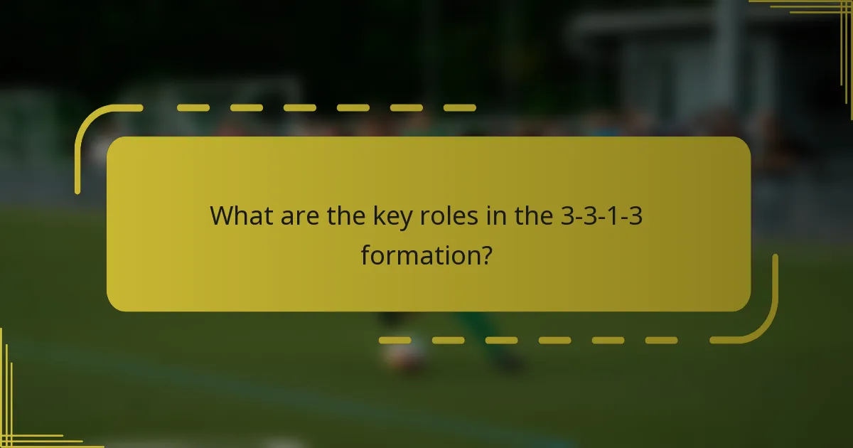 What are the key roles in the 3-3-1-3 formation?